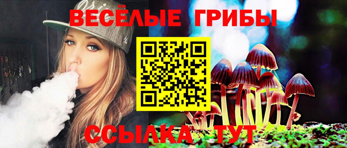 сколько стоит  Галлюциногенные грибы мухоморы  Вход с VPN  Отрадное 