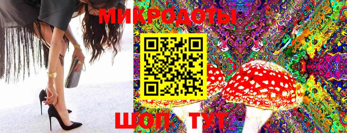 Галлюциногенные грибы Psilocybine cubensis Отрадное